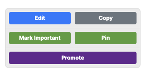 A light grey box with 5 buttons in it. A blue button labeled “Edit”, a dark grey button labeled “Copy”, two green buttons, one labelled “Mark Important” and the other labelled “Pin”. Lastly, there is a purple button labeled “Promote”.