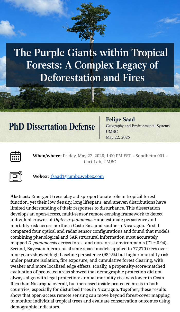 The Purple Giants within Tropical Forests: A Complex Legacy of Deforestation and Fires, by Felipe Saad