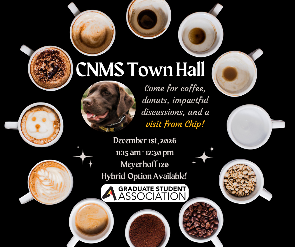 Flyer for Townhall