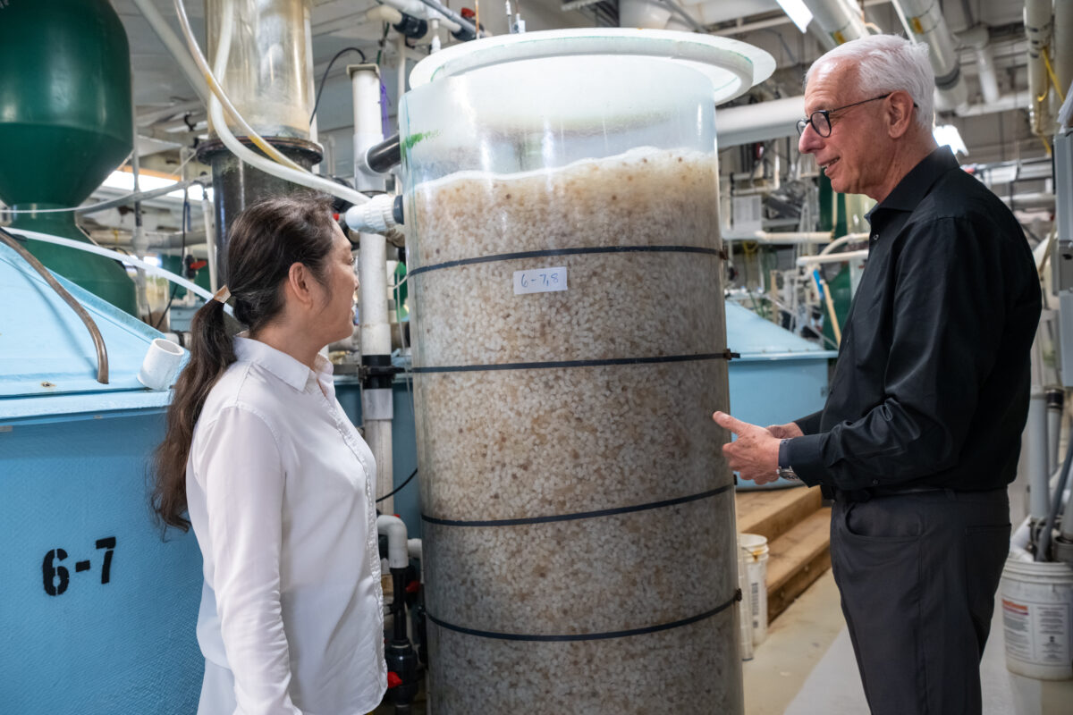 Dr. Yoni Zohar and Dr. Keiko Saito