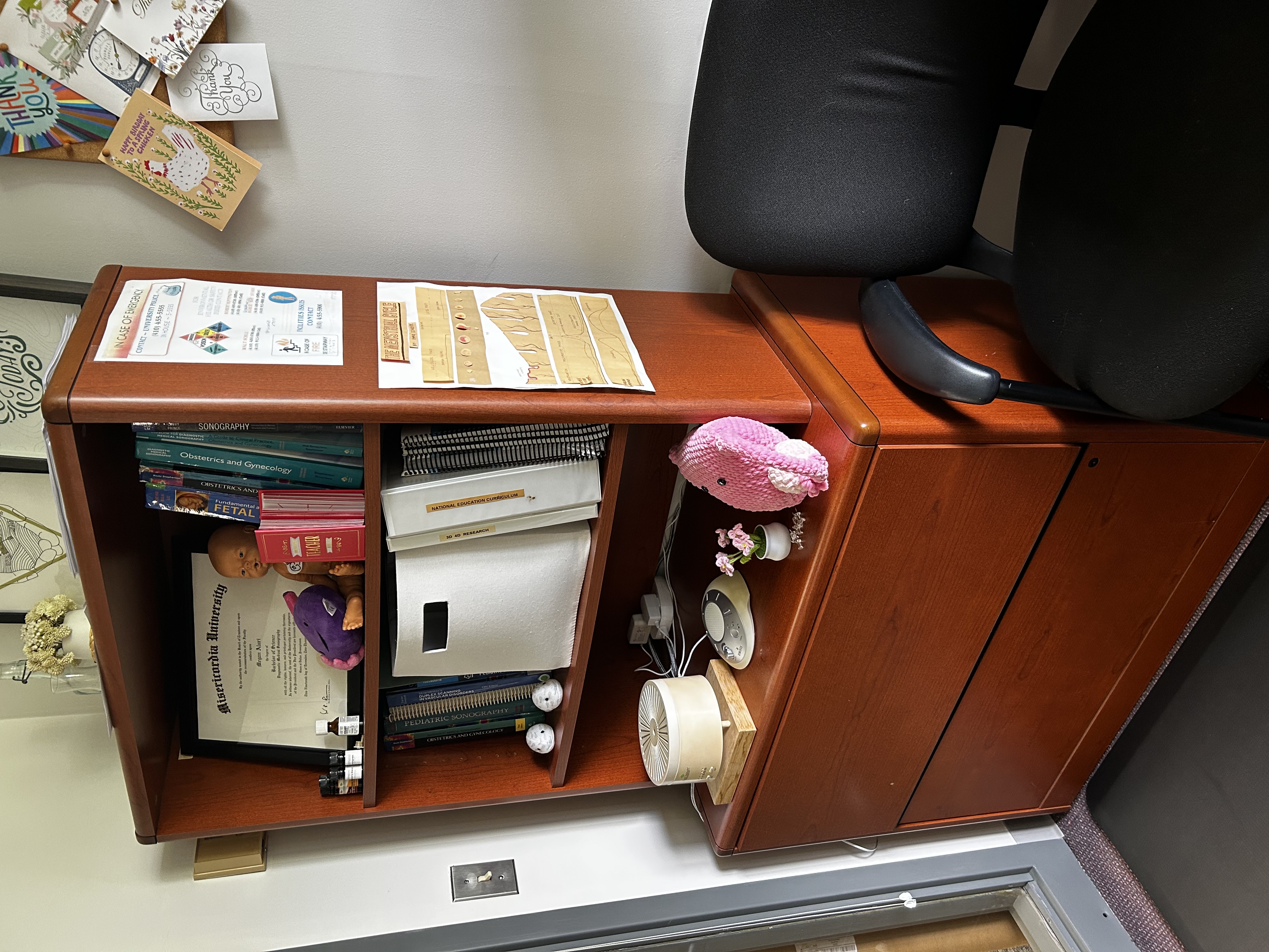 Large Bookshelf with file storage.