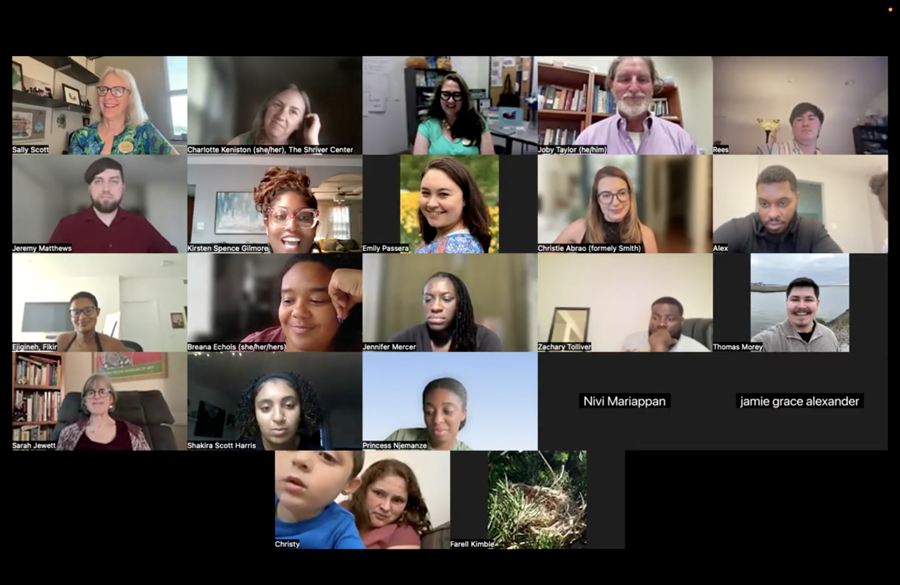 Screen grab of REM Session Participants