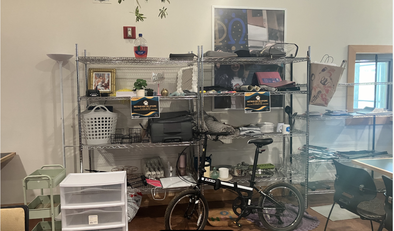 Photo of items on shelves